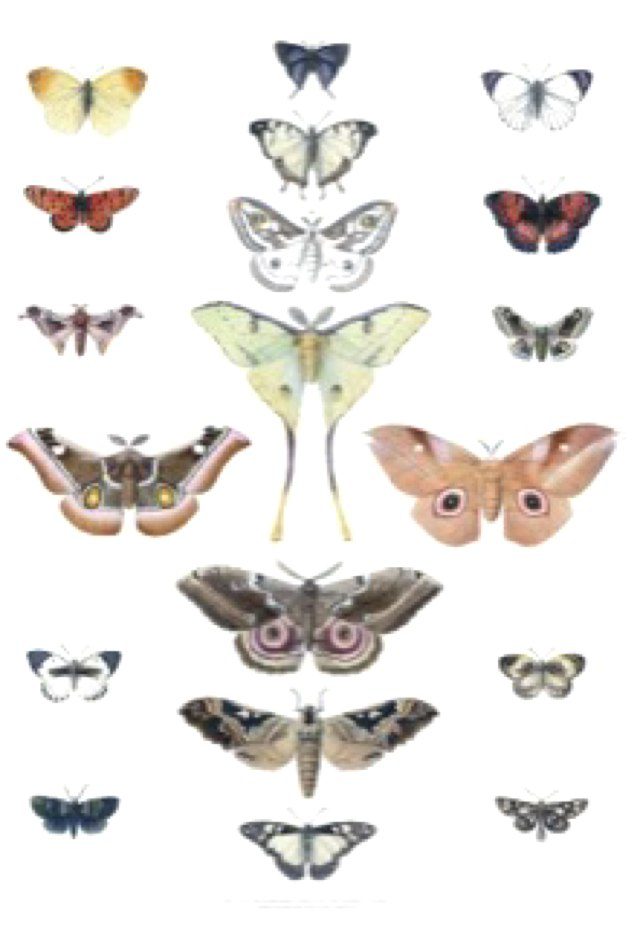 British Library launches competition